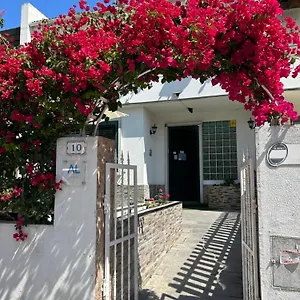 Bing Garden Portugalia